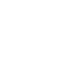 Unió de Periodistes Valencians